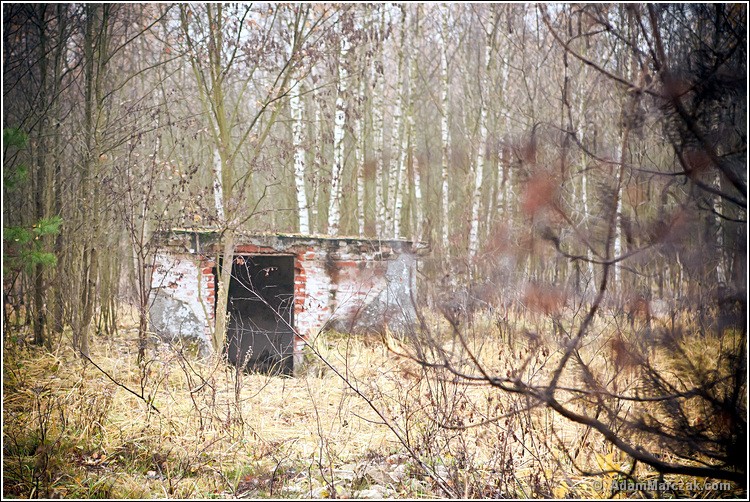 Poligon Skierniewice